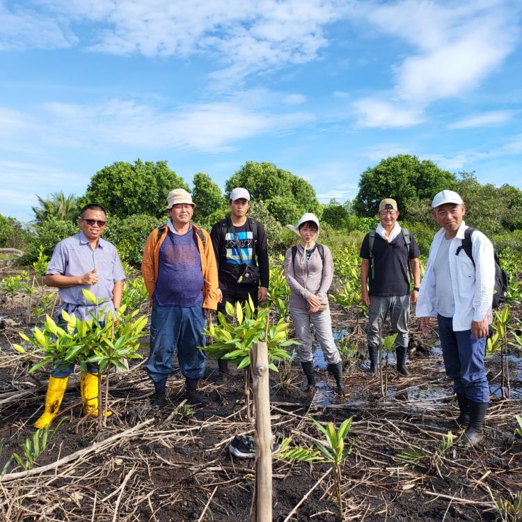 PWI Bersama Pecinta Mangrove Indonesia dan Jepang Menanam Bakau